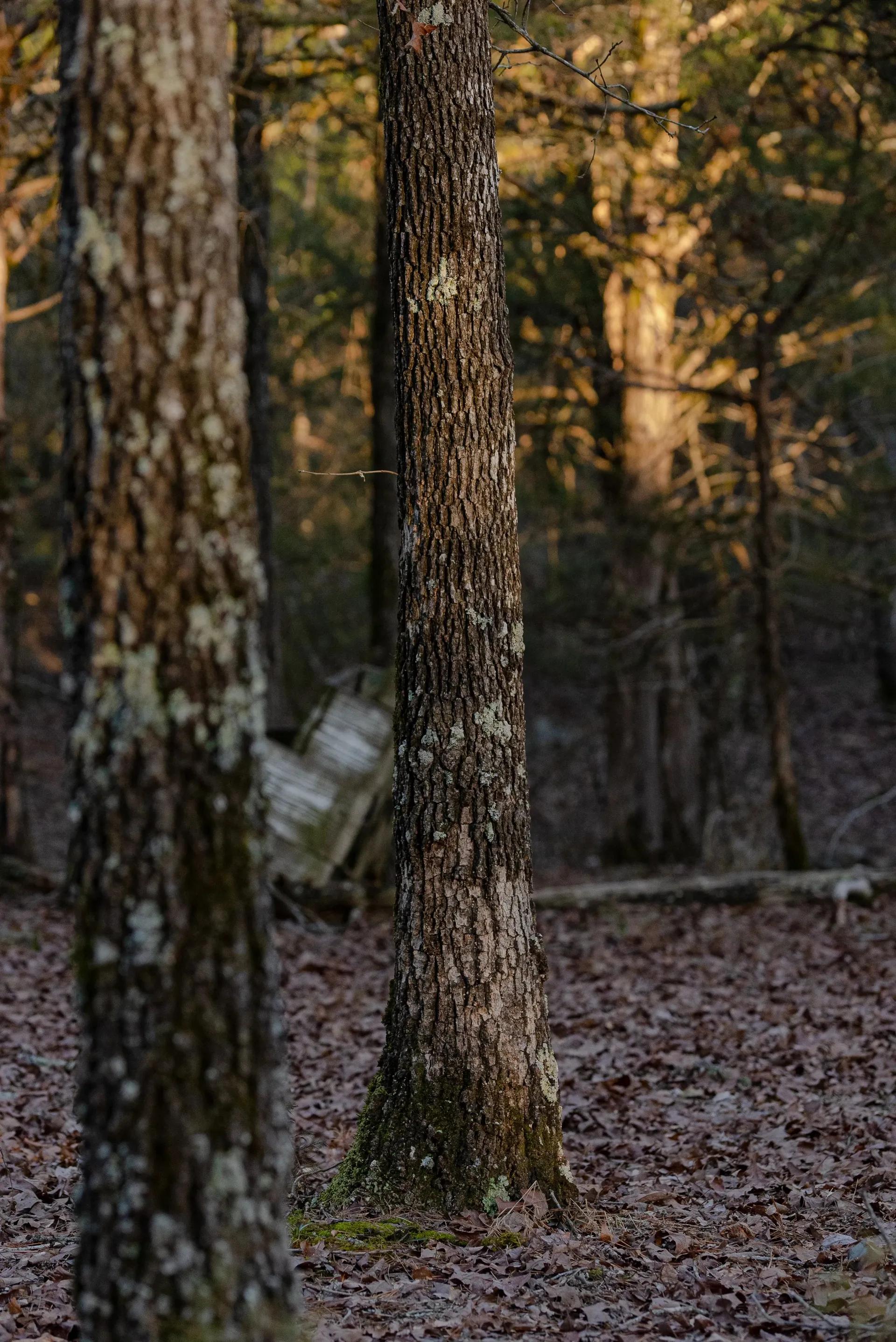 20133344-7