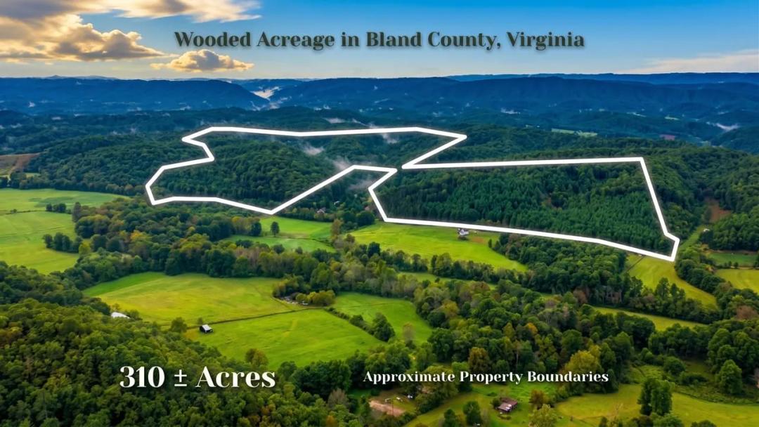 300.00 Acres at  Tbd Short Ridge Dr