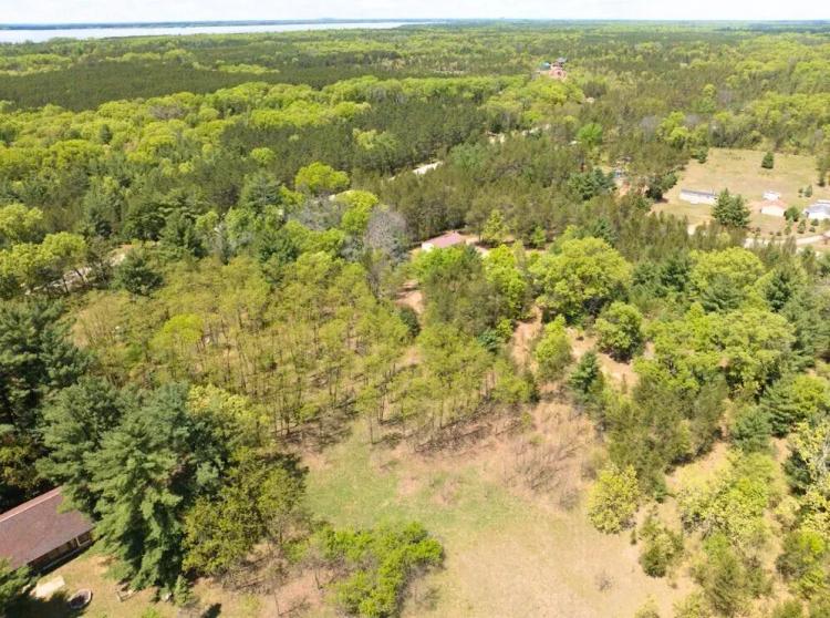 Family-Sized Lot Beneath the Pines