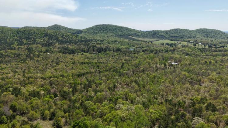 11.24 Acres in Polk County, AR