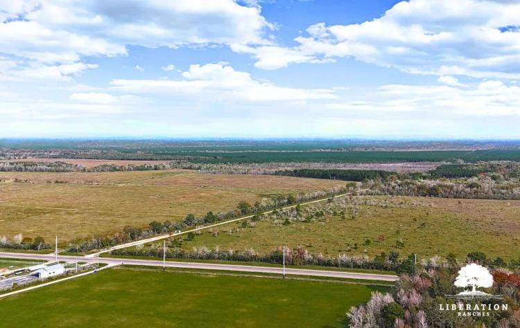 Sour Lake Tract 2 | 10+ Acres | Only 15K Down