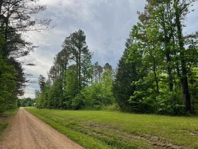 56.00 Acres at 0 Hwy 51