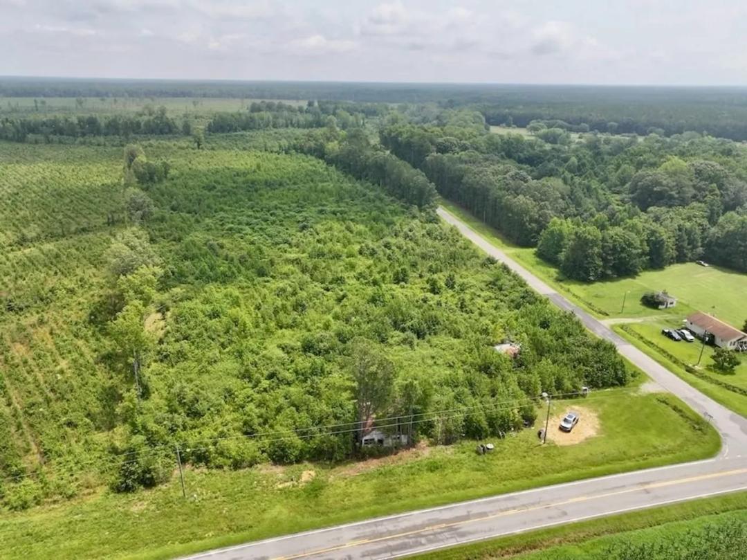 14.16 acres of Recreational & Investment Land For Sale in Halifax County NC!