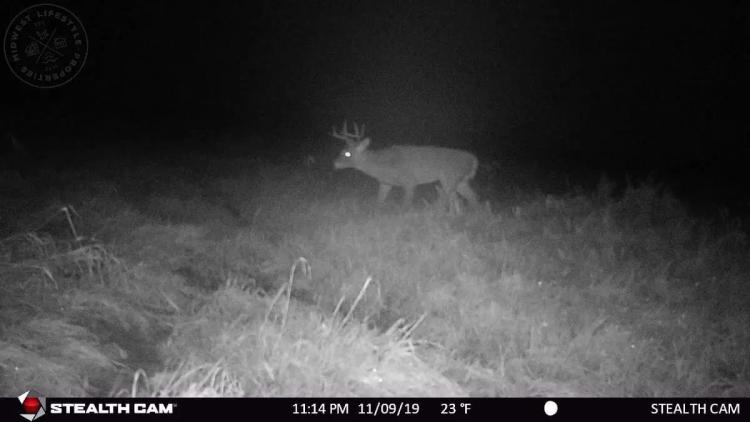 Affordable Deer & Duck Hunting Land in Montello, WI