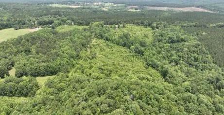 40.00 Acres at 0 Lindsey Rd