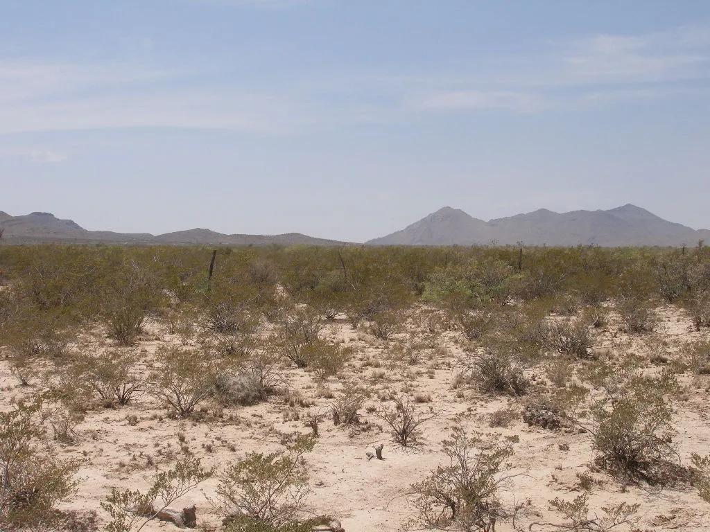 5 acres West Texas desert land