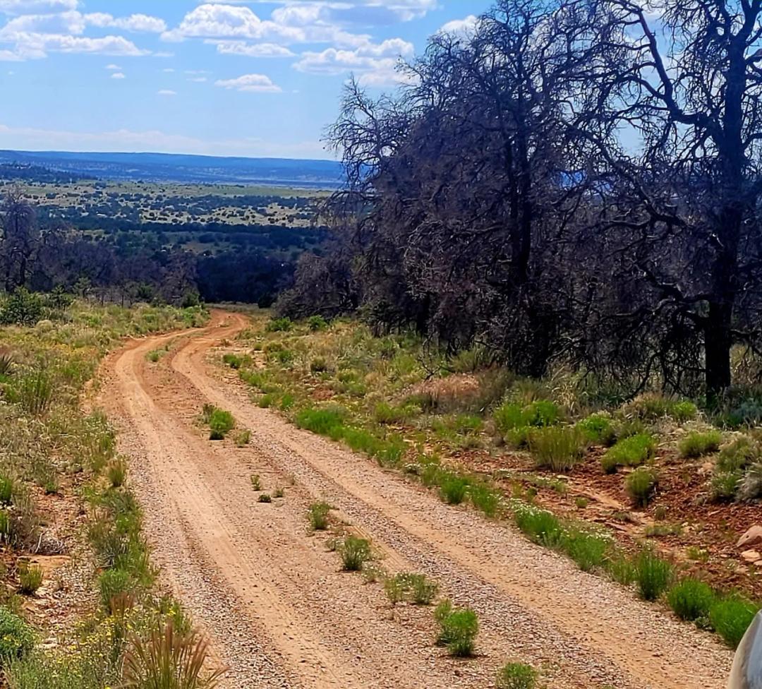 Pine Meadows Ranch - Trees - Creek - Camp - RV - Build