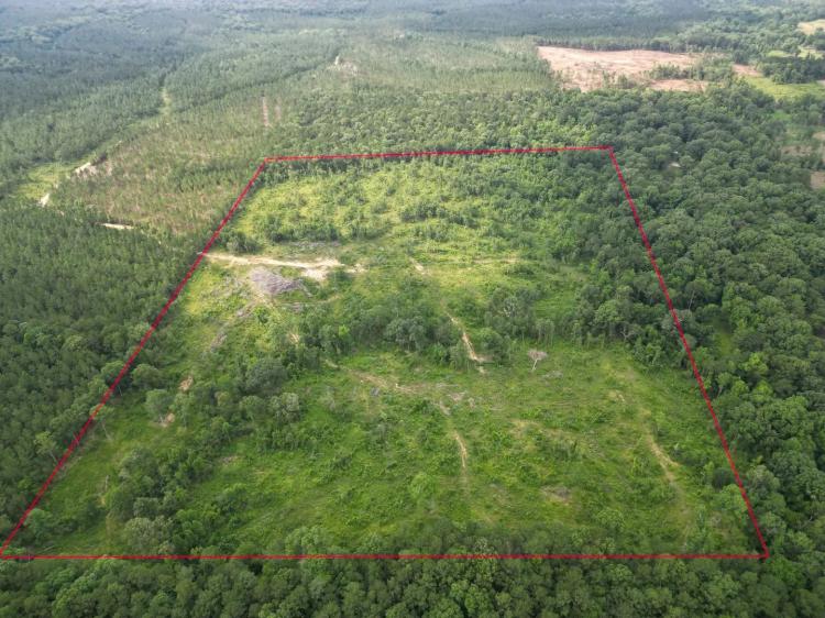 LA - LaSalle 53 acres +/-