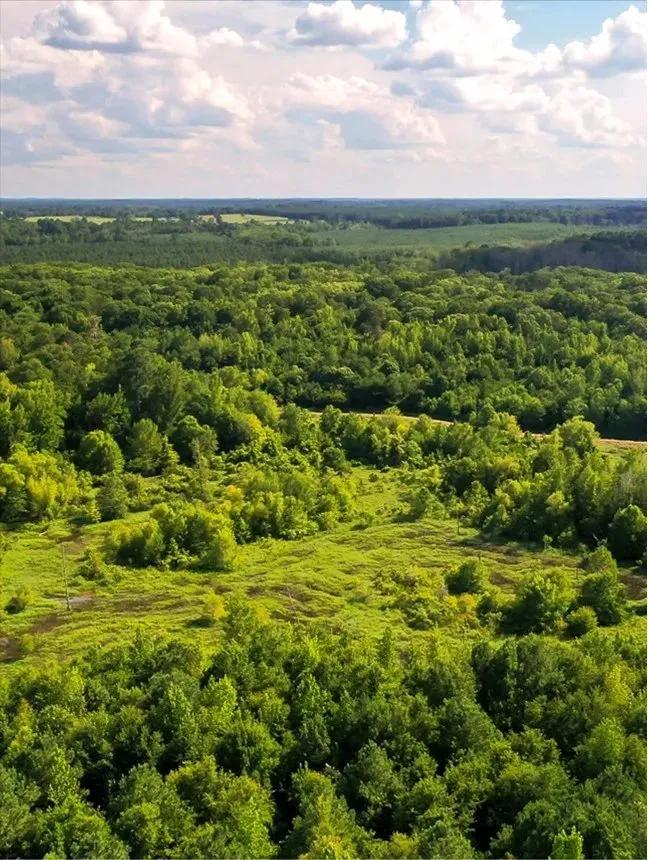 910 Acres in Union Parish in Spearsville, LA (Big Daddy's Paradise) 