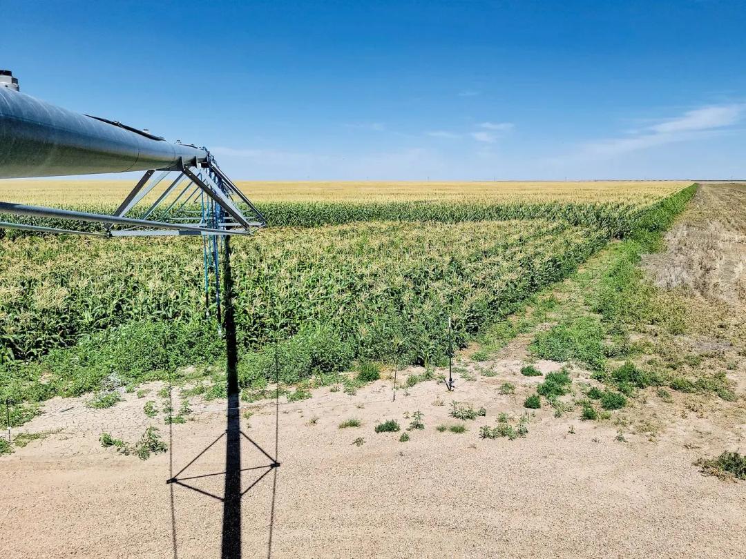 Melcher Irrigated Farm For Sale