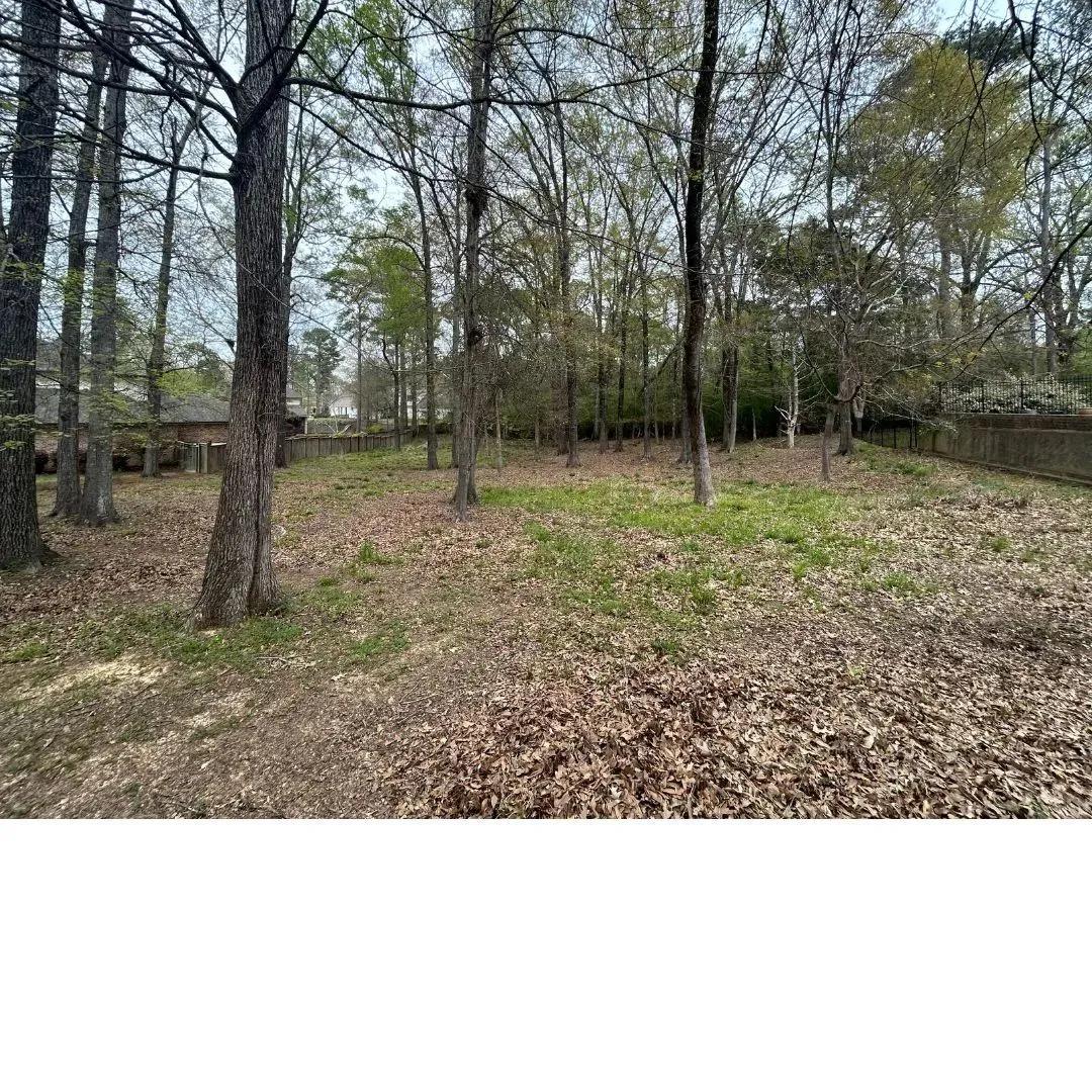20435850-3