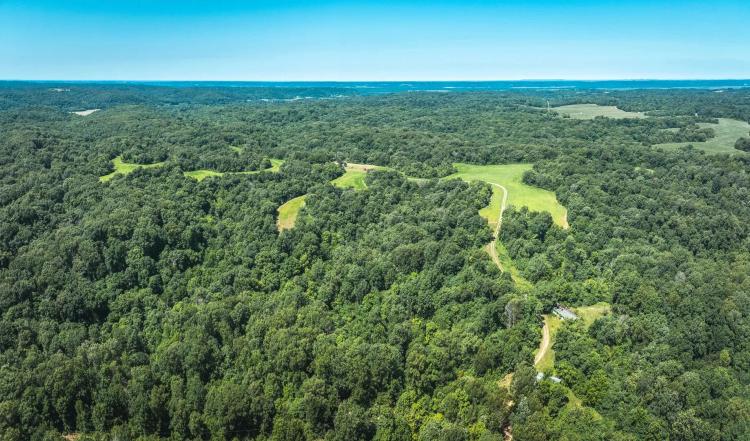 16874 Fieldon Hollow Rd, Fieldon, IL