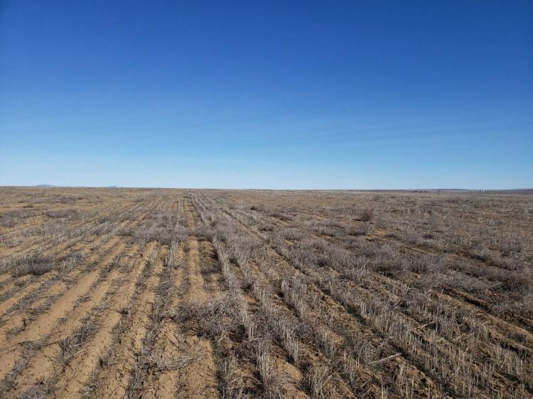 For Sale: 154 Acres of Land east of Waterville WA