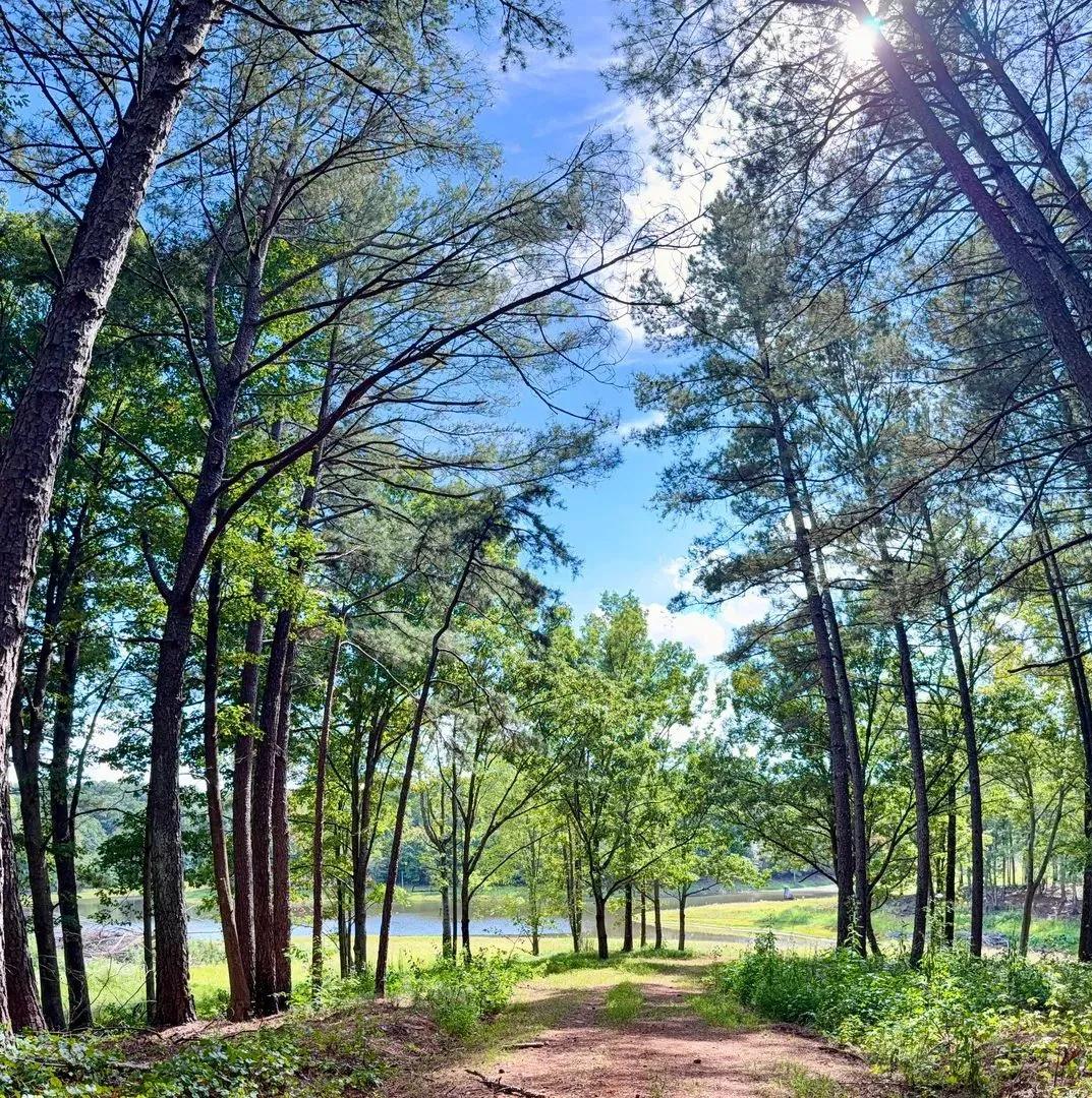Grove Creek Reserve
