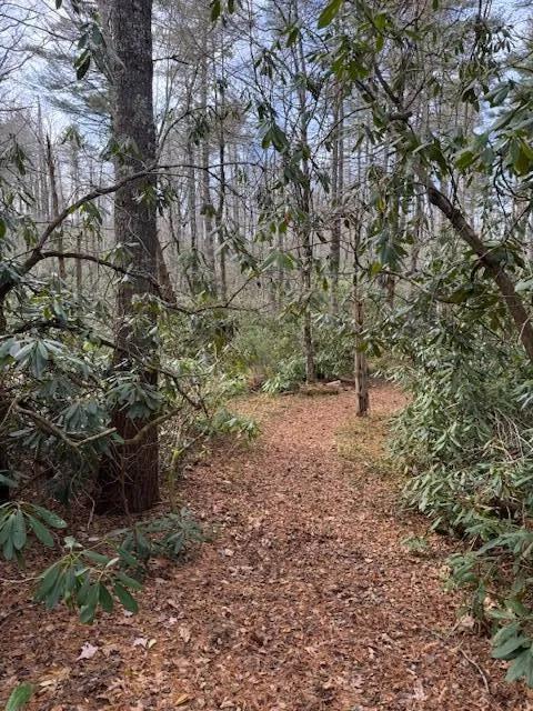 Vacant Land Jonas Ridge Community