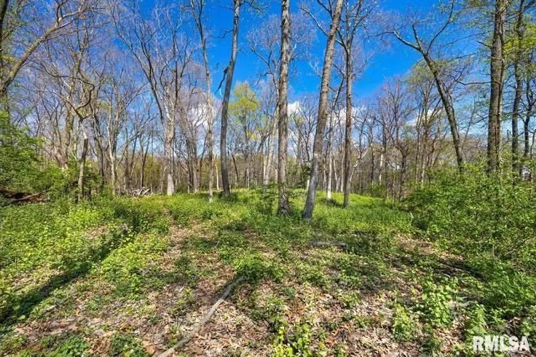 2611 Bartruff Ln- Pekin, IL