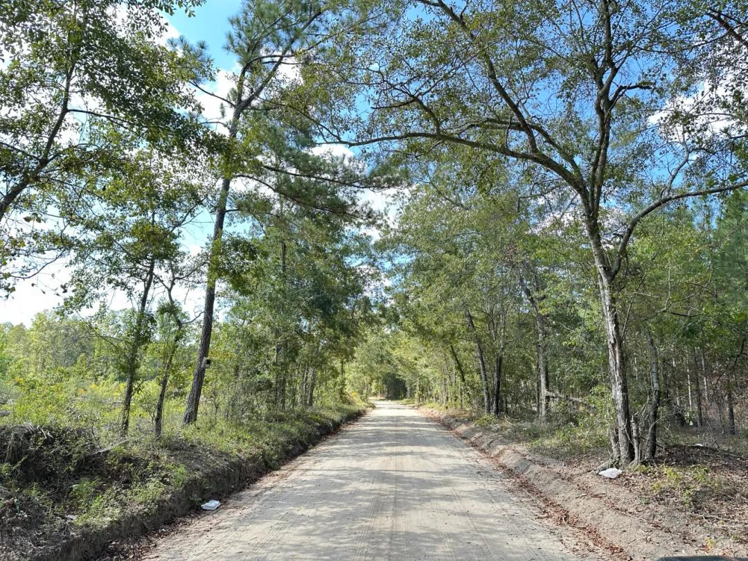 136.00 Acres at 0 Paddock Road