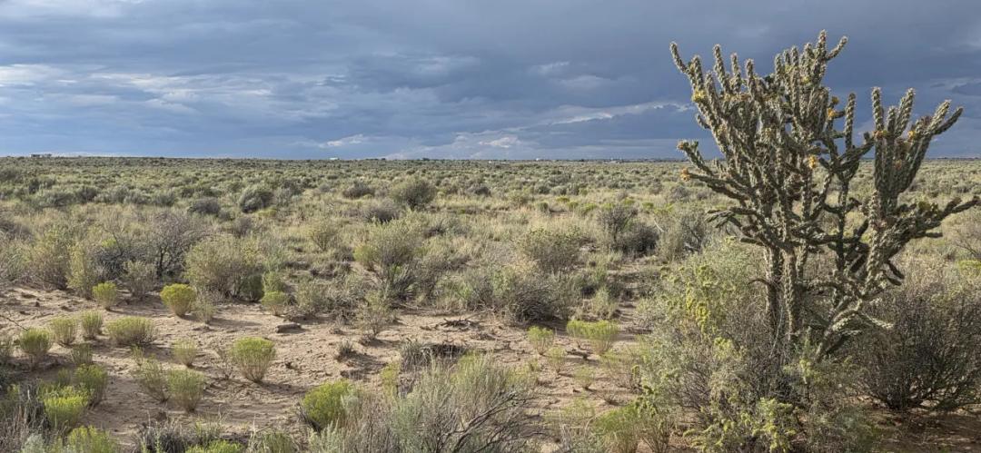 Rio Rancho Estates New Mexico 1/2 acre with Expansive Views