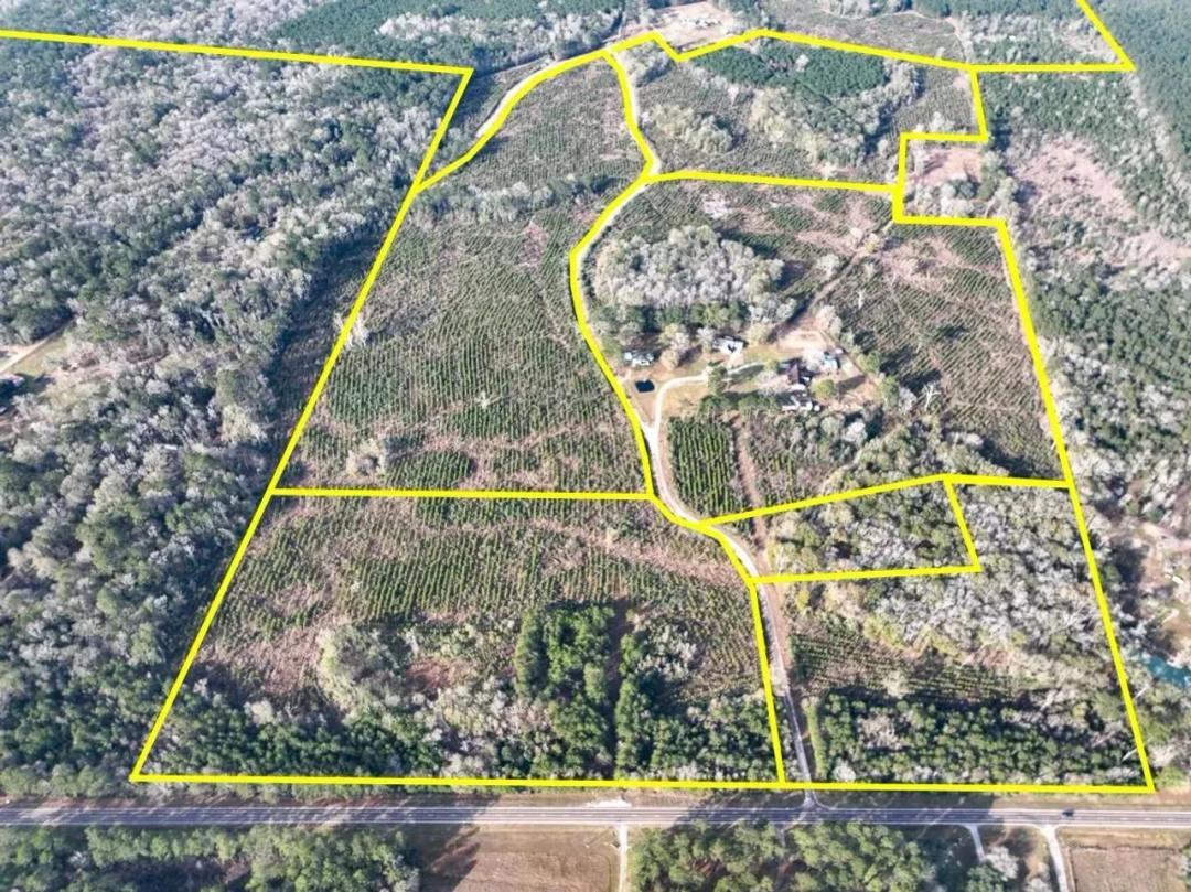 38 Acres | T-9 & T-10 | Tall Cotton Rd. | 00043