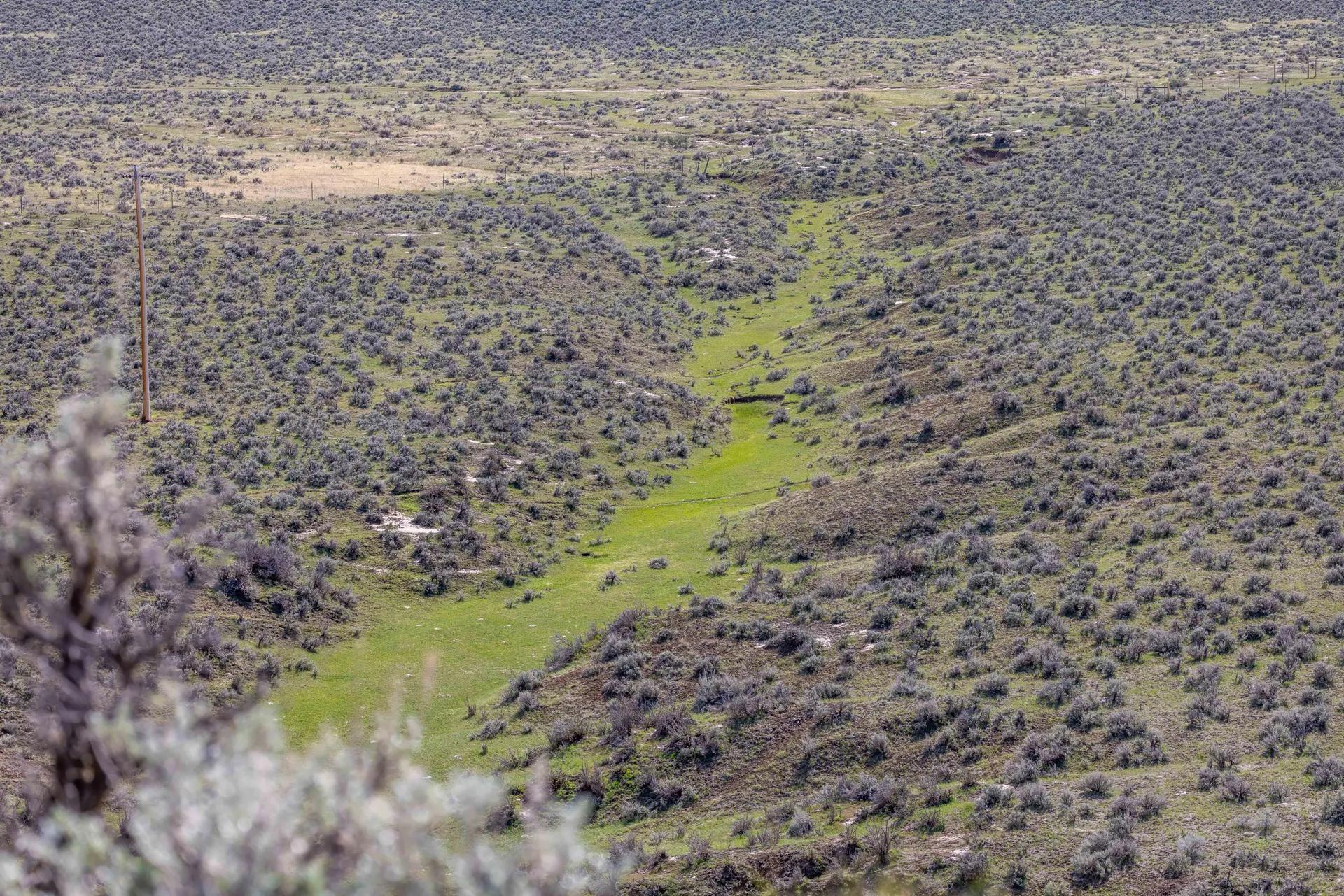 20656762-11