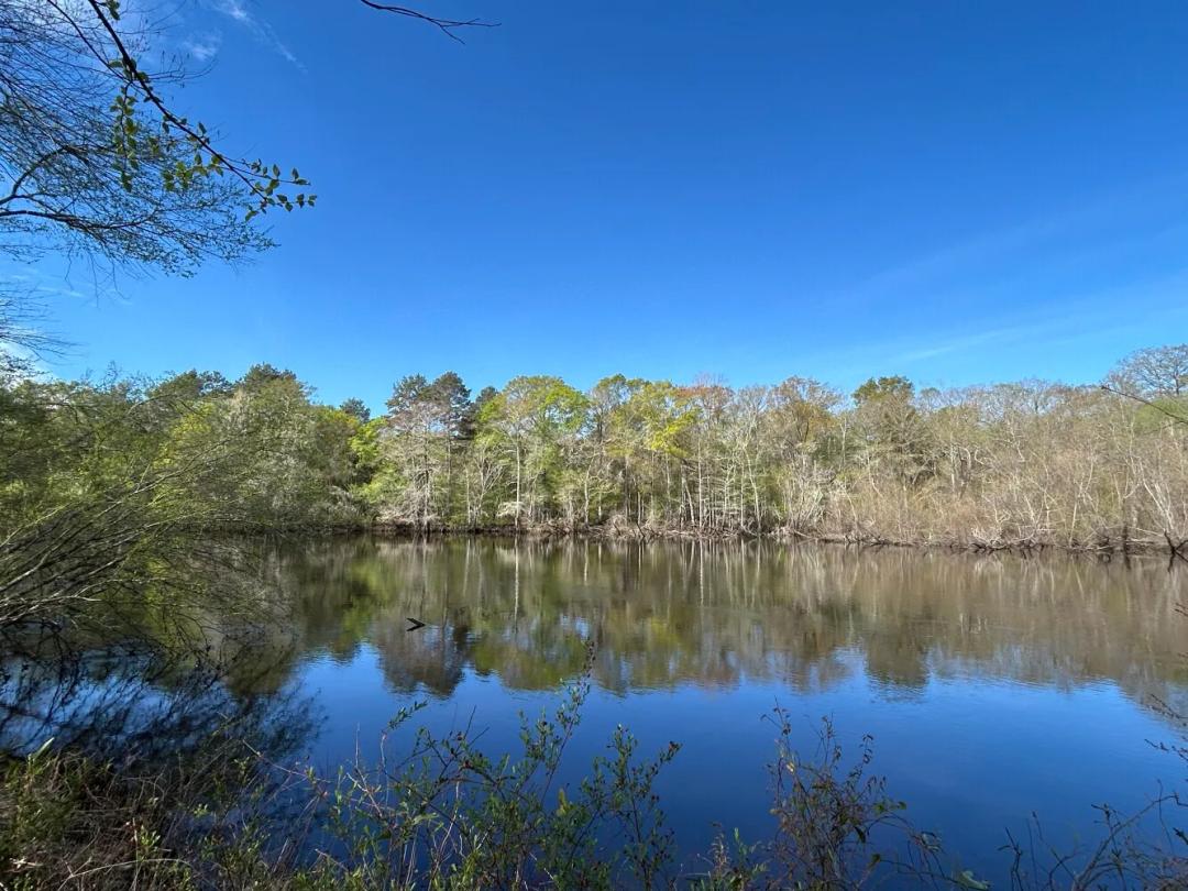 7.34 Acres at 0 Boat Landing