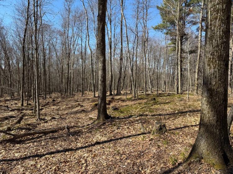Picturesque acreage near Tionesta &amp; Cornplanter State Forest
