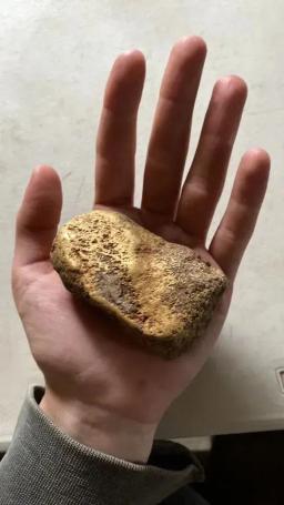 20682933-25