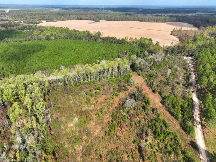 156+/- Ac Land for Sale Dodge County, GA