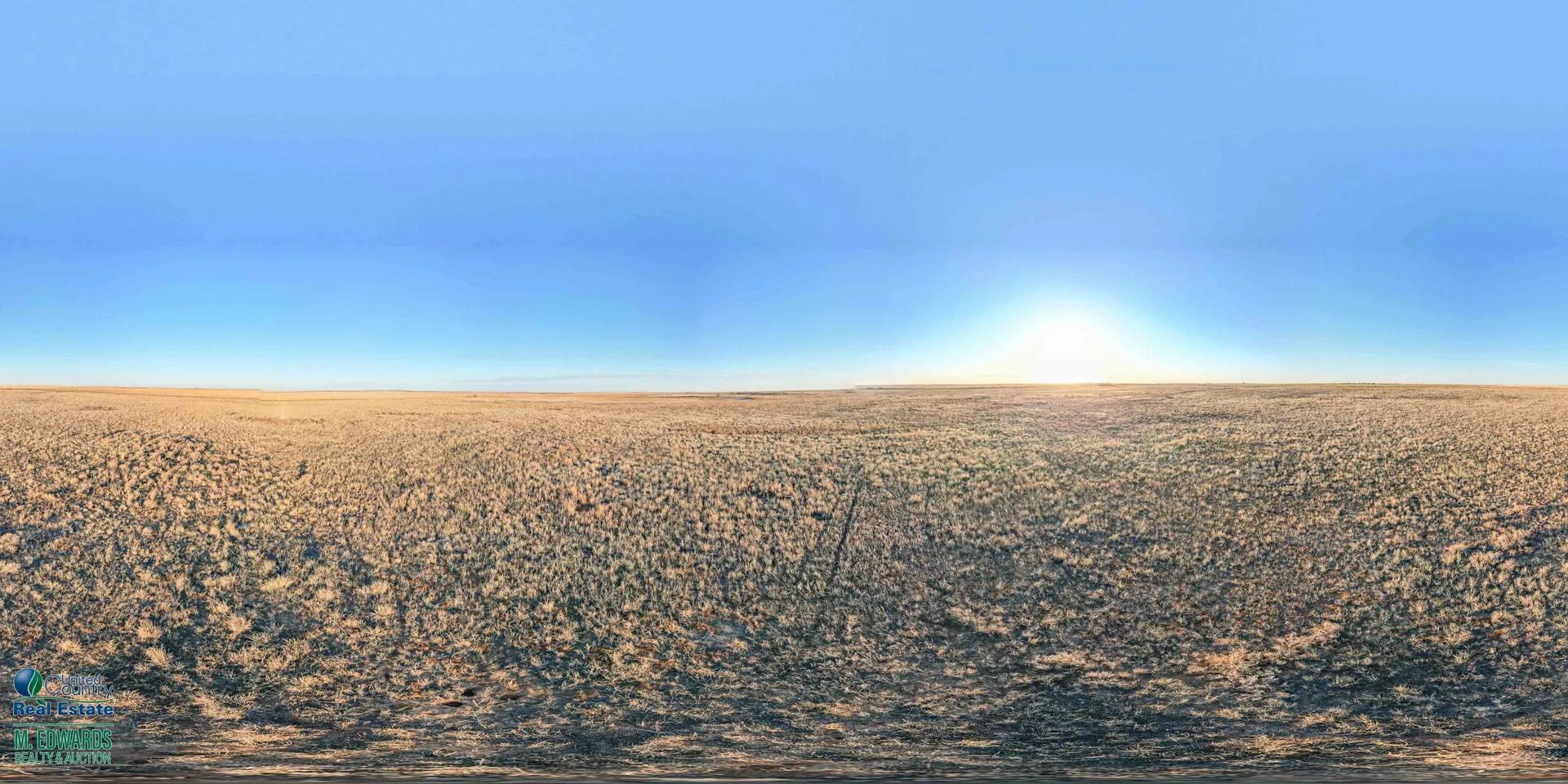 20875918-8