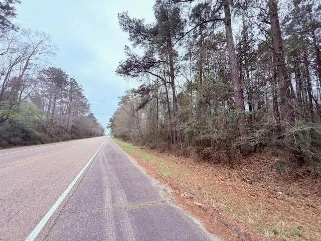 4.5 Acres | Angie, LA 