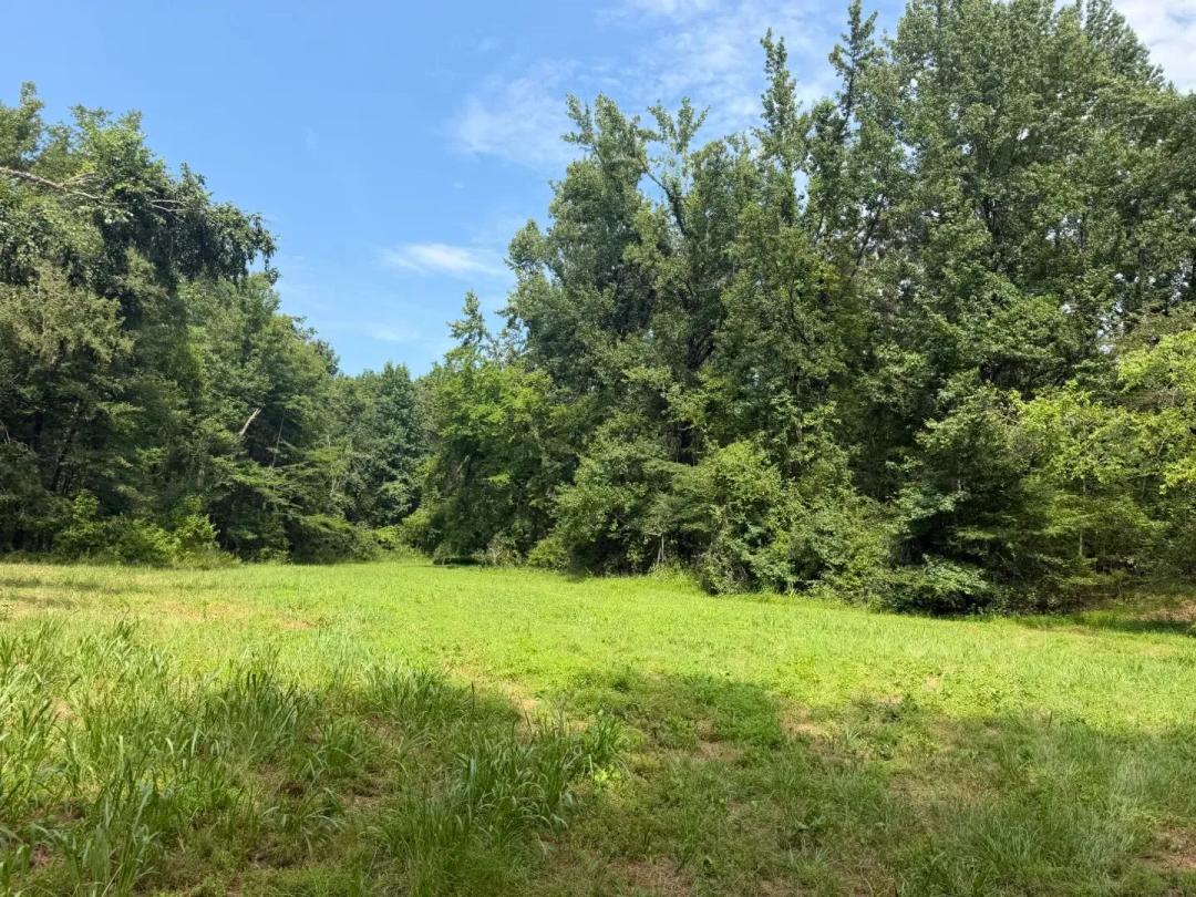 132.04 Acres in Lafayette County, MS 