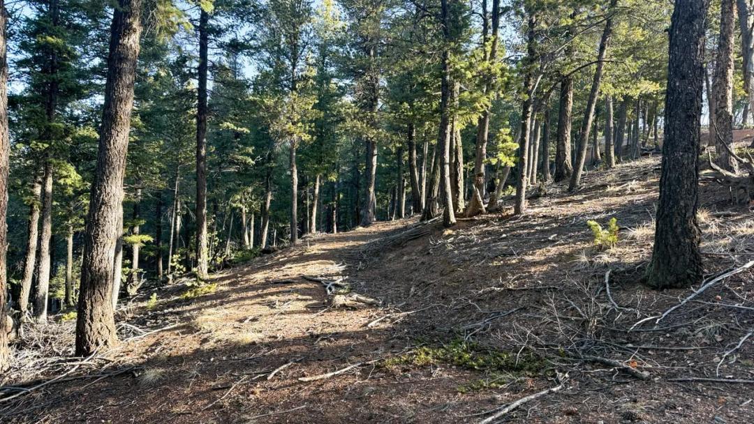 461 Paradiso Rd; 3.5 +/- acres ; Teller County