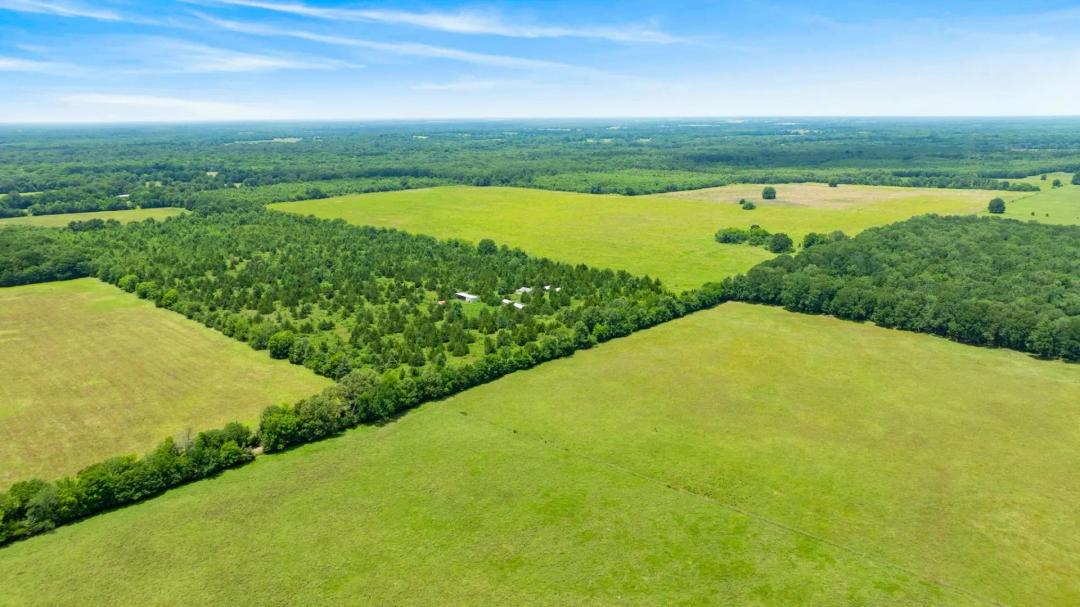 243± Acres of Prime Texas Farmland | Red River County, Texas