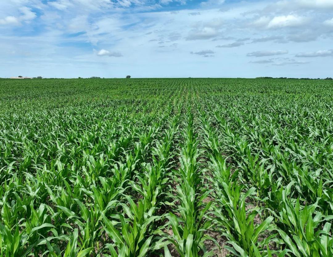 Listing #19575 - 282.71 acres in Clarke County, IA