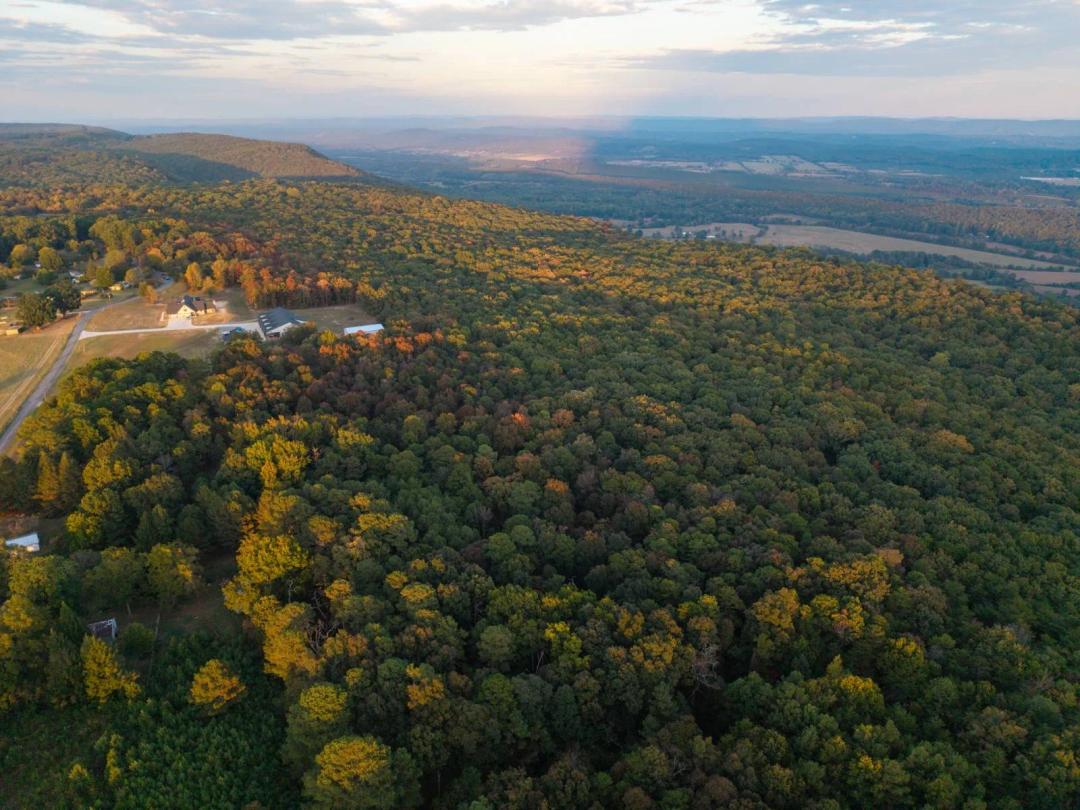 72± Acres of Lookout Mountain Land Absolute Auction