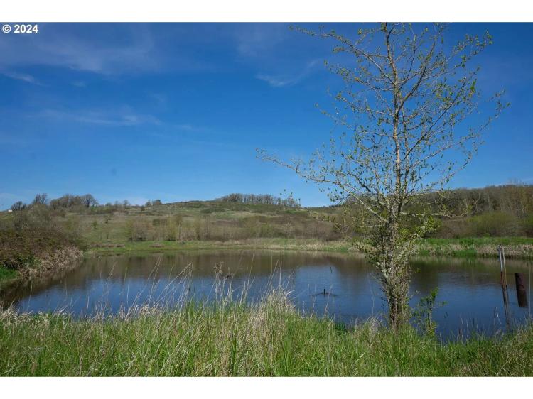 Private Acreage With Beautiful View