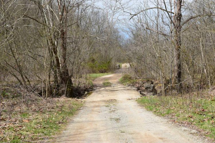 153+/- Acres of Hunting, Recreation, Timber In Jefferson County