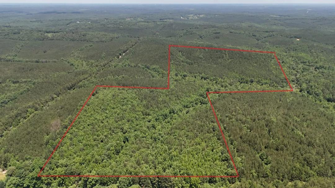 Winston County 70 +/- ac Timber and Recreational Tract