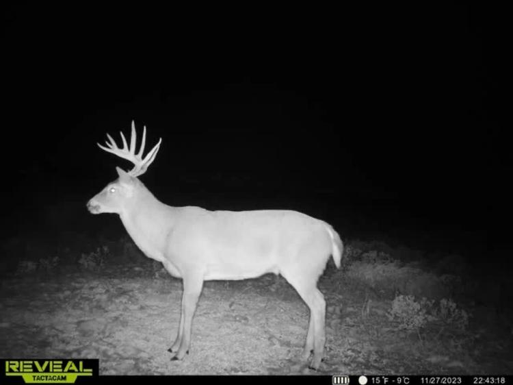 Sand Creek NE Ranch