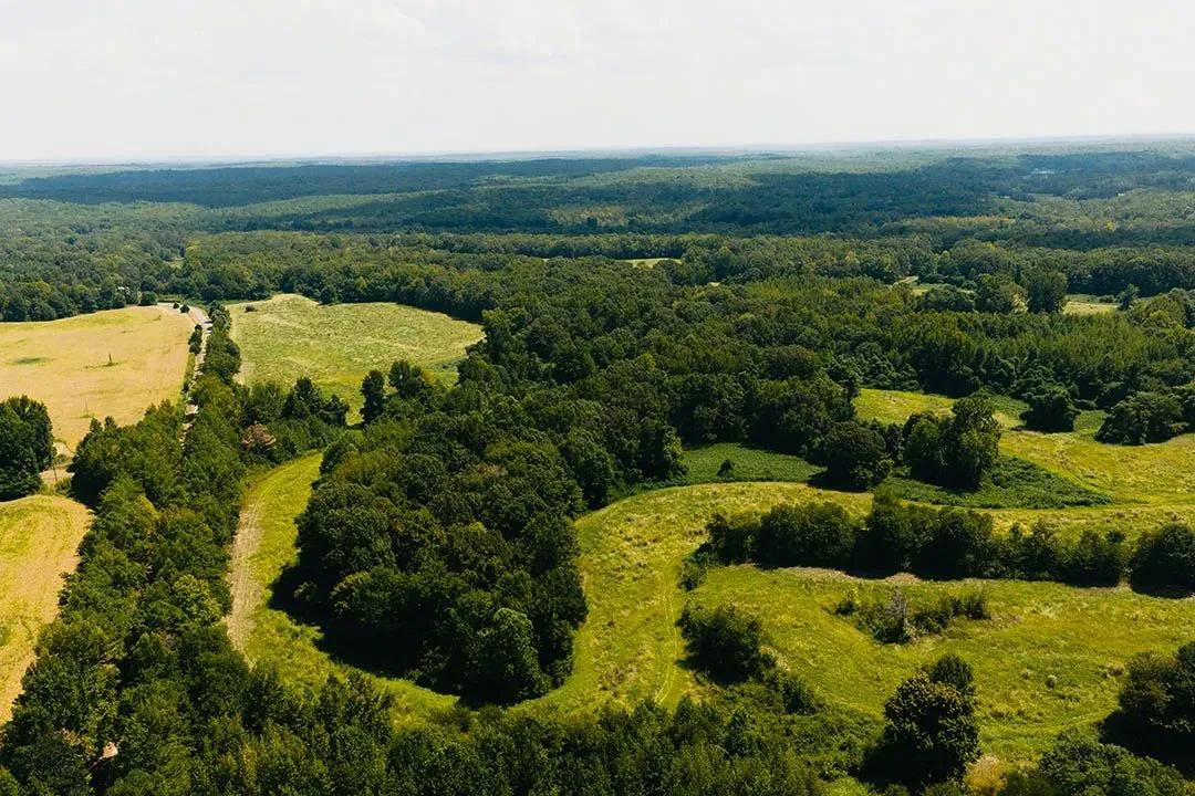 411 Acres in Hardeman County, TN 