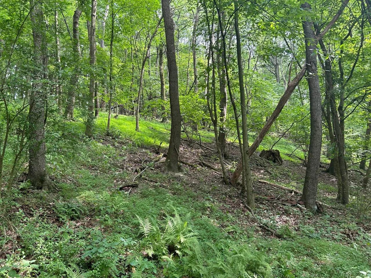 21051687-9