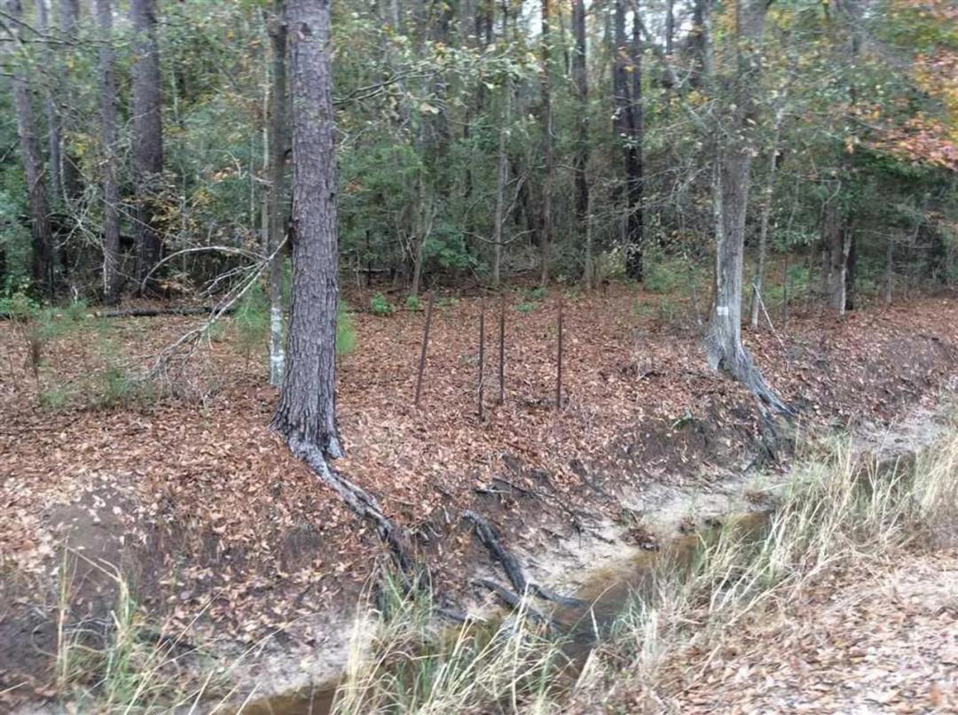 RD Ellender Road Tract, Calcasieu Parish, 50 Acres +/-