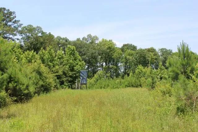 Watson Road - Sumter Tract