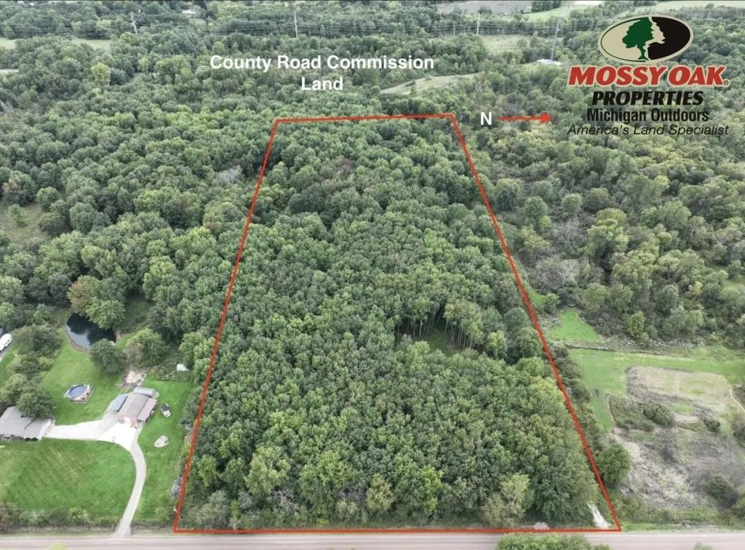 17 +/- Acres V/L Washburn Rd, Goodrich MI