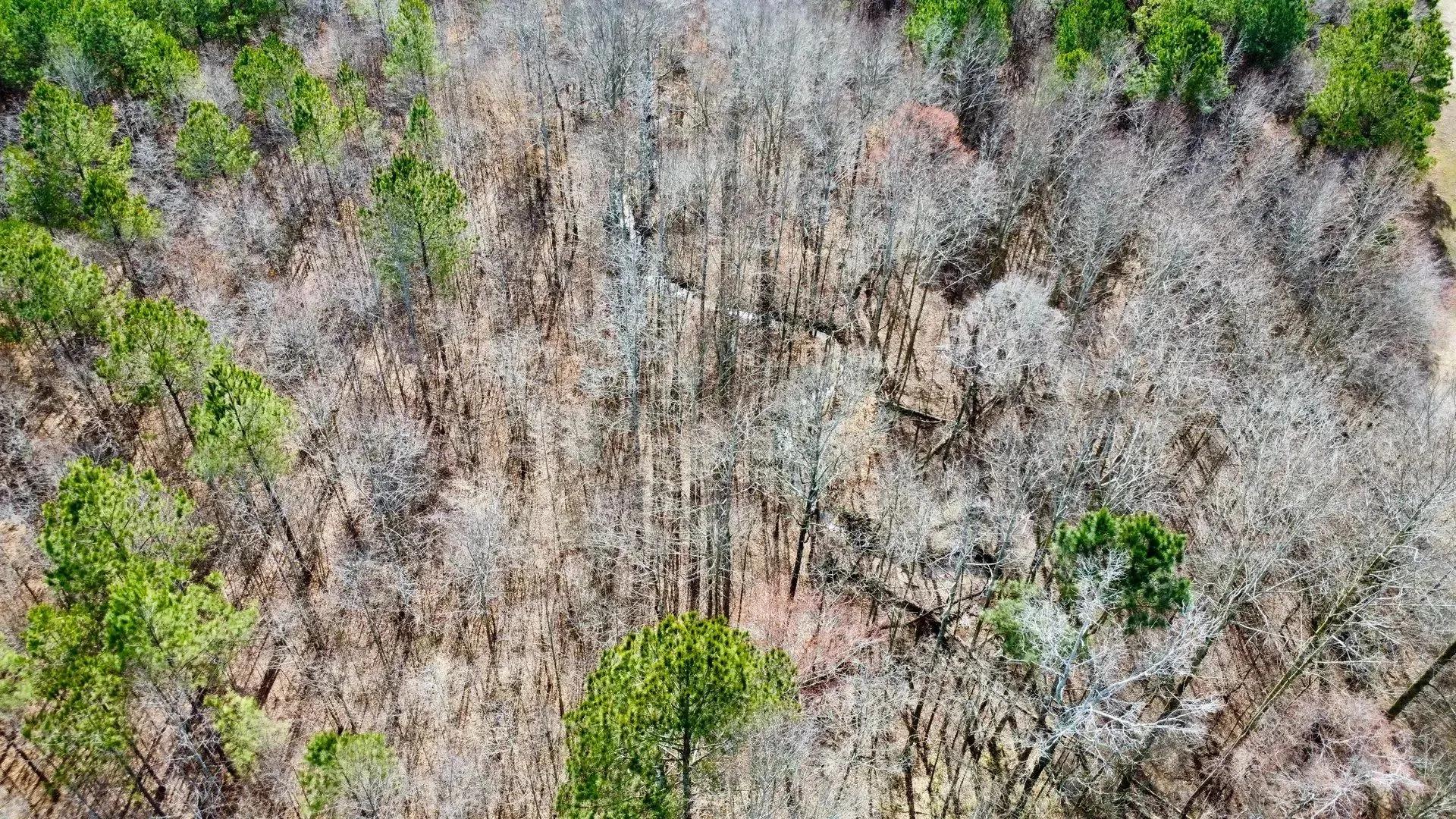 21177281-23