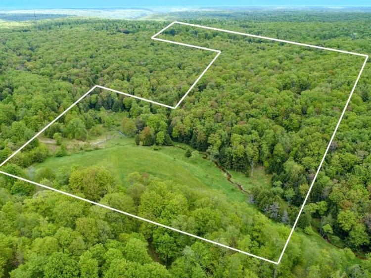 34.24 Acres at 0 Hunkins Rd