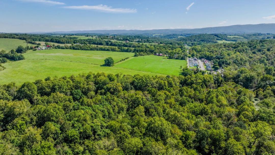 Secluded Recreational Hunting Tract