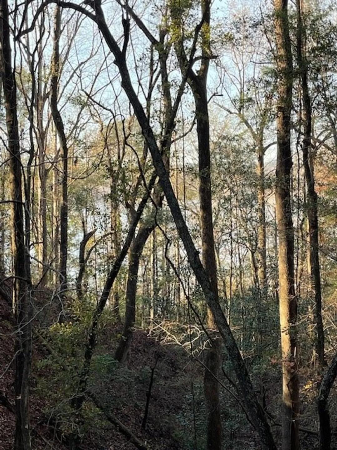 Lot 20 Arrowhead Lane-Waterfront