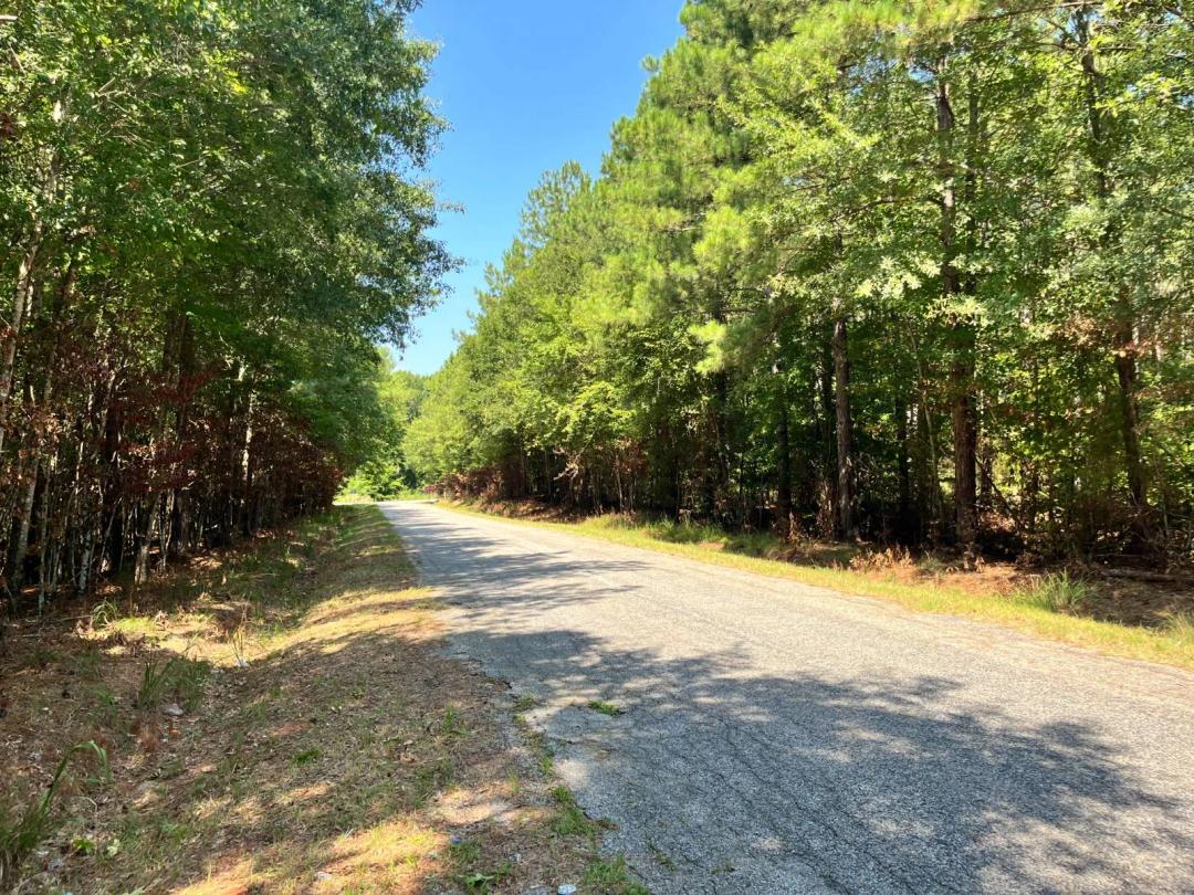 Turkey Creek B