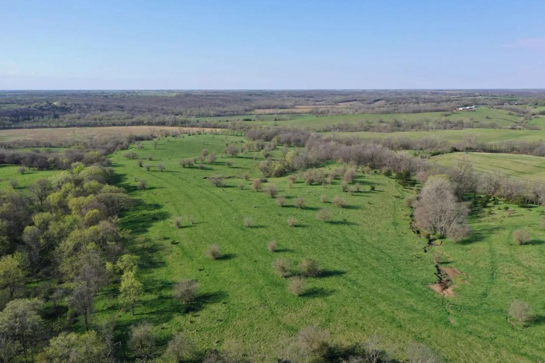 Listing #18128 - 180.00 acres in Clarke County, IA